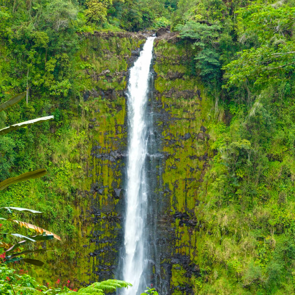 Hawaii Waterfalls on the Road to Hana