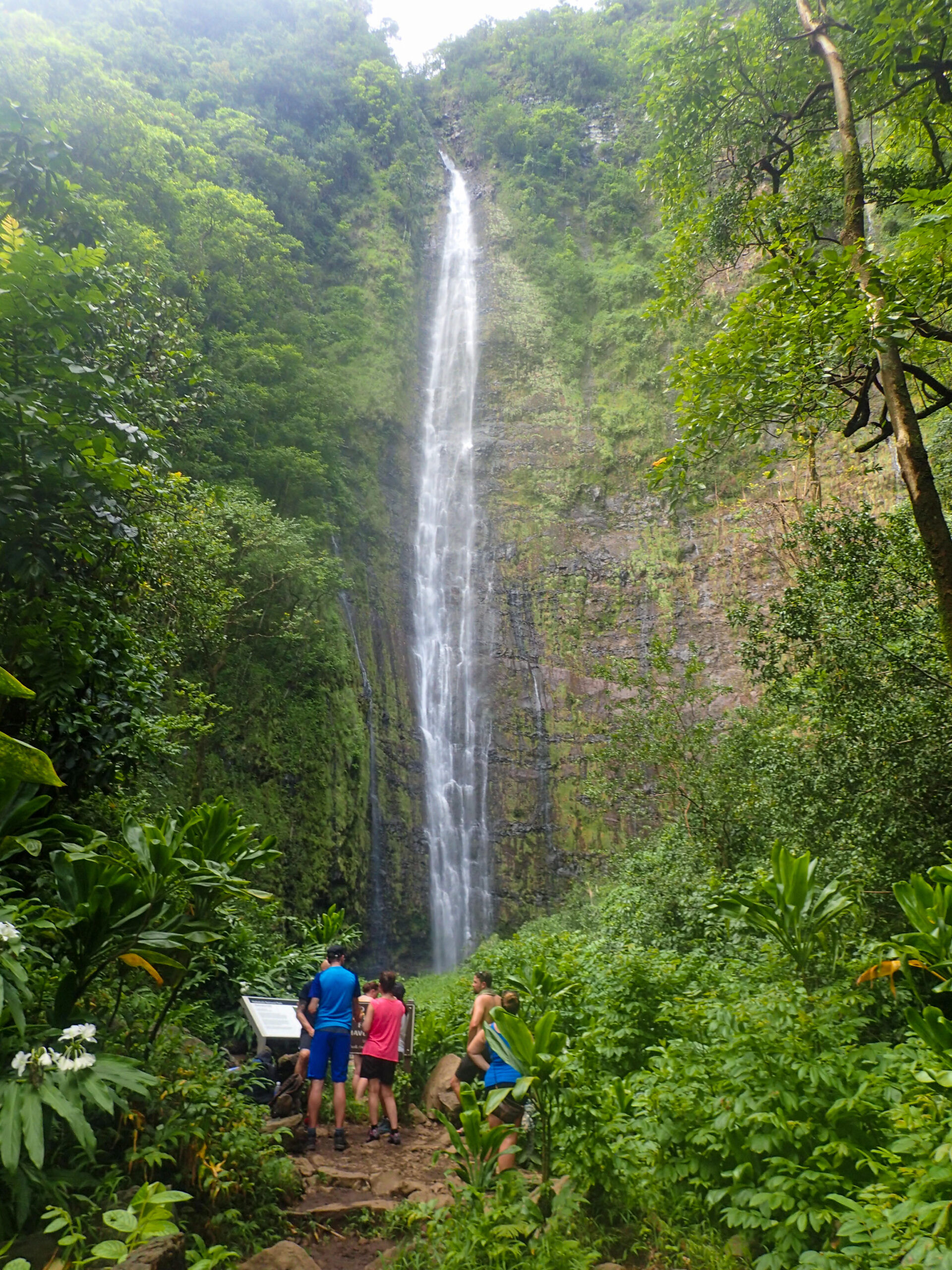 Pipiwai Trail in Maui, Hawaii